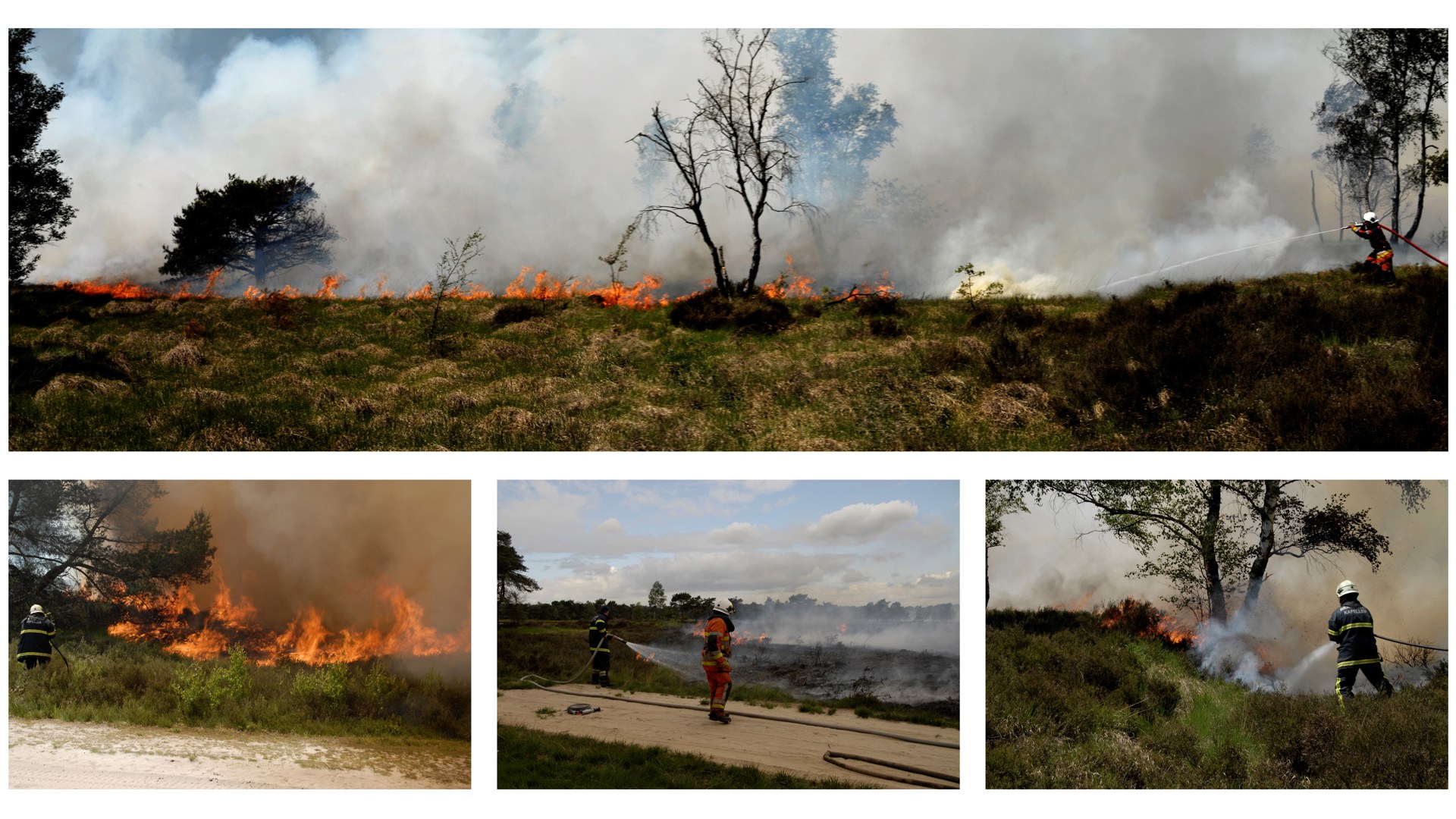 Heide Brand 25 05 11Collage Jpg