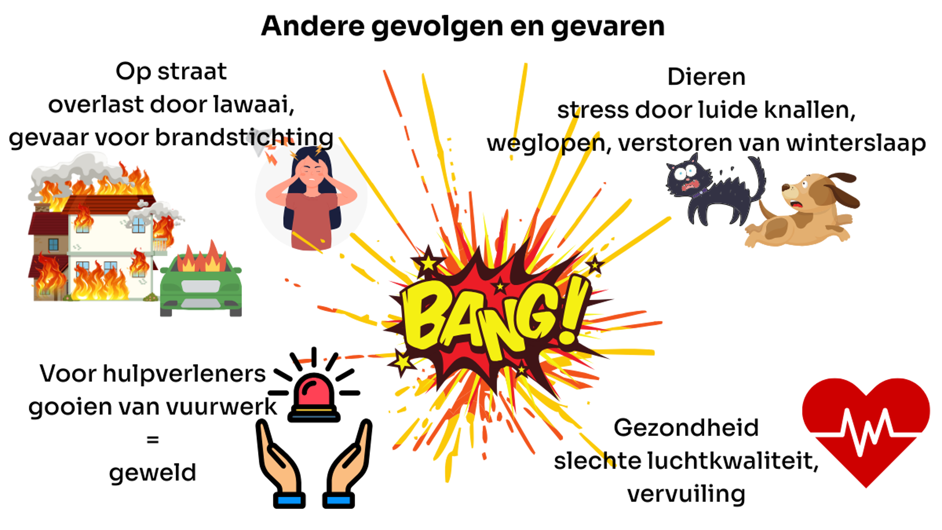 Andere gevolgen en gevaren: Op straat overlast door lawaai, gevaar voor brandstichting. Dieren: stress door luide knallen, weglopen, verstoren van winterslaap. Voor hulpverleners: gooien van vuurwerk = geweld. Gezondheid: slechte luchtkwaliteit, vervuiling.