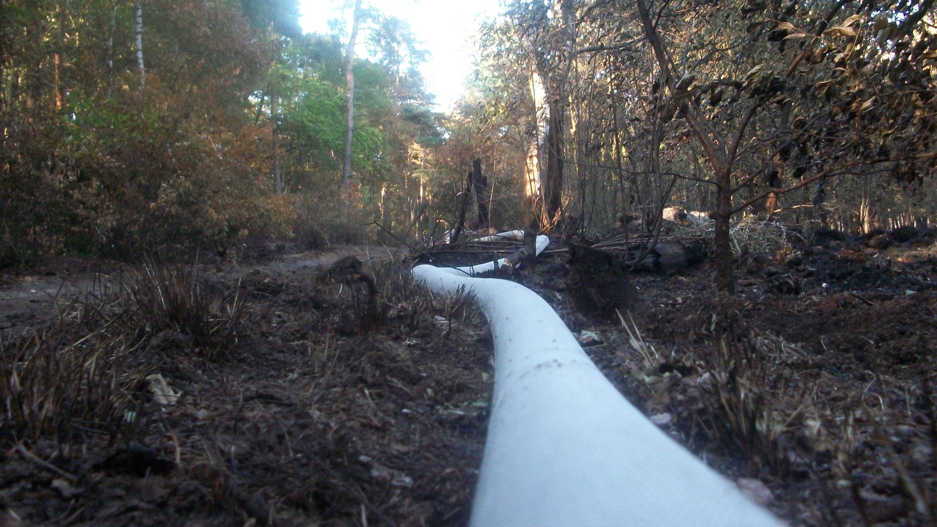 Heidebrand 05 2011 JB 070